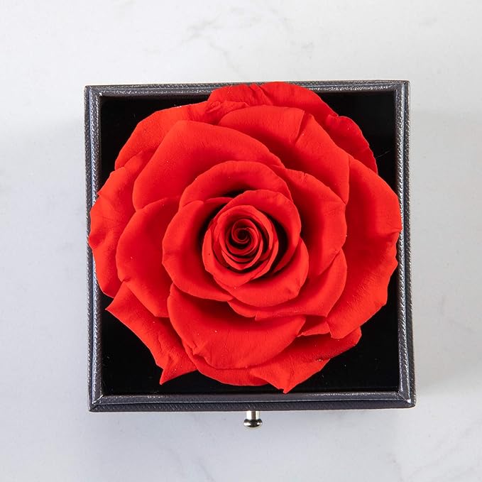 Rosa Eterna En Joyero y Collar TE AMO🌹(unidades limitadas por temporada)