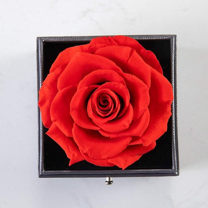 Rosa Eterna En Joyero y Collar TE AMO🌹(unidades limitadas por temporada)